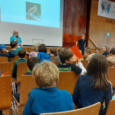 Warum singen Vögel?