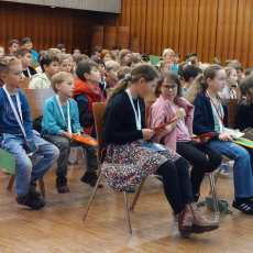 Warum singen Vögel?