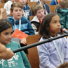 Warum singen Vögel?