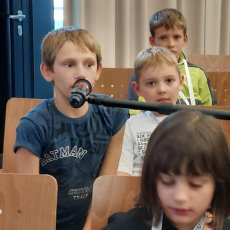 Warum singen Vögel?