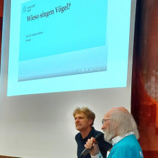 Warum singen Vögel?