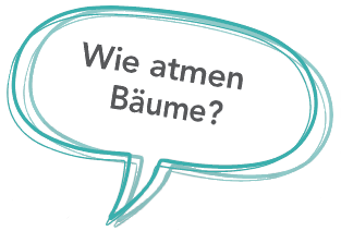 Wie atmen Bäume?